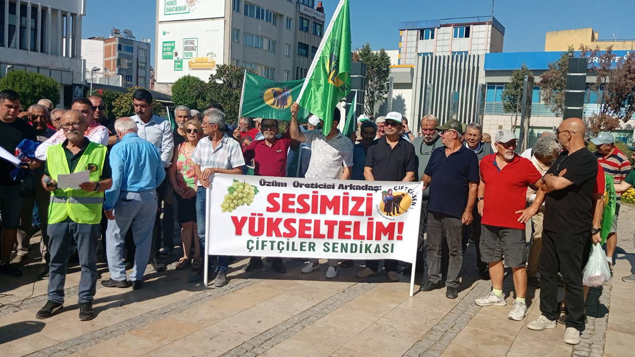 Üzüm Üreticileri Fiyatlandırmaya Tepki Gösterdi