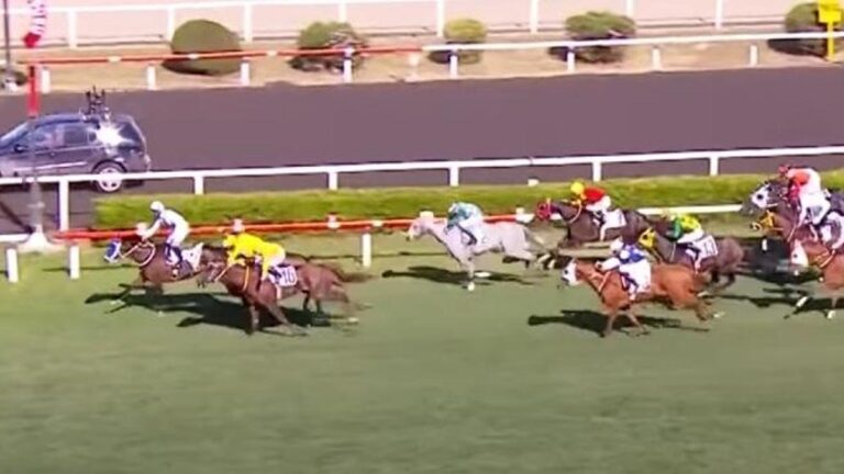 99. Cutha ve Ahmet Çelik Gazi yarışını kazandı! Yarışların heyecanı Kanal D ve Tay TV’de gerçekleşti …