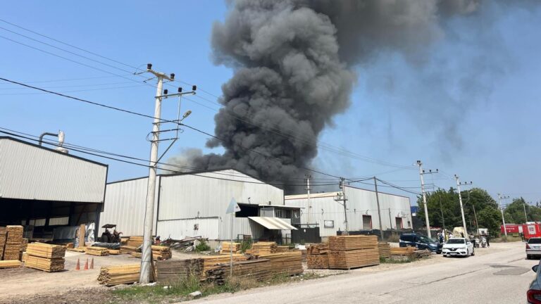 Kocaeli’de fabrika ateşi