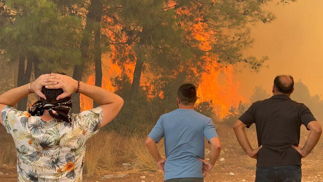 Son Dakika | Boschive yangınları devam ediyor! Bakan Yumakli Bursa'dan duyurdu: 