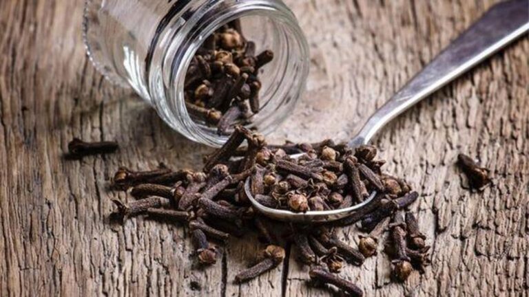 Hem dolaşım hem de saç sistemi için kullanışlı! Karanfil bakımı nedir, nasıl yapılır? Cure tedavisinin faydaları nelerdir?