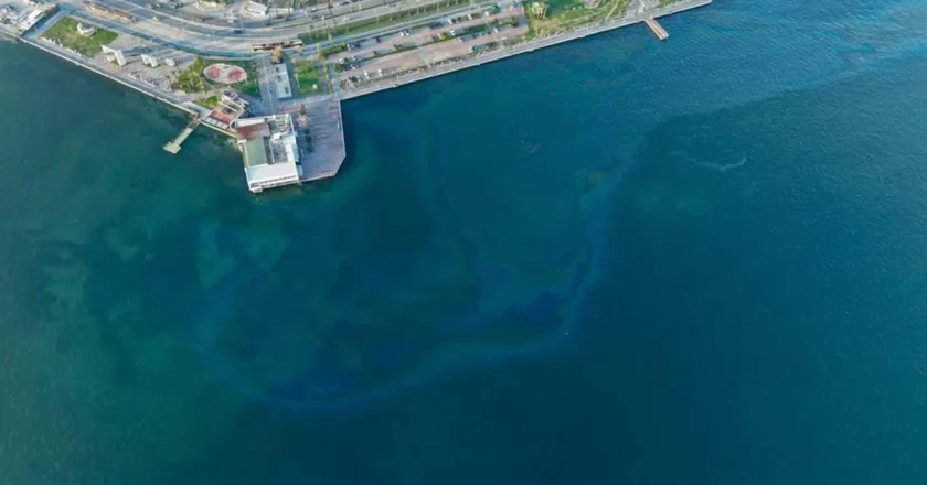 İzmir Körfezi’ne Atık Bırakıldı
